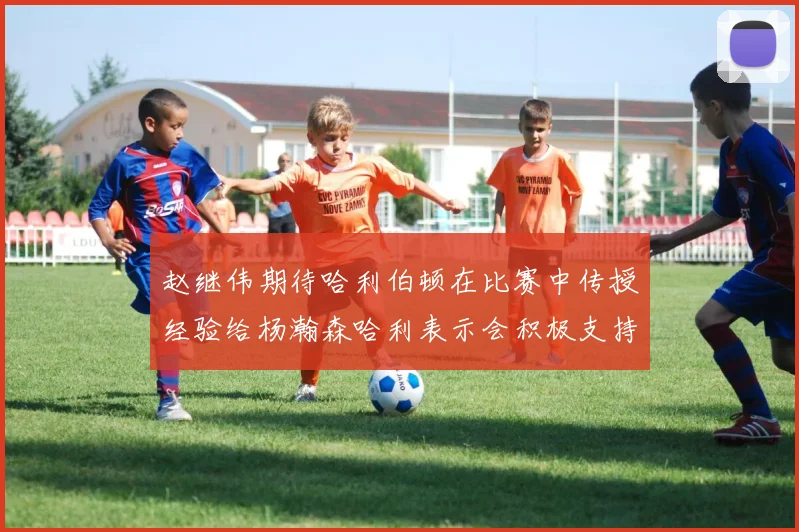 赵继伟期待哈利伯顿在比赛中传授经验给杨瀚森哈利表示会积极支持