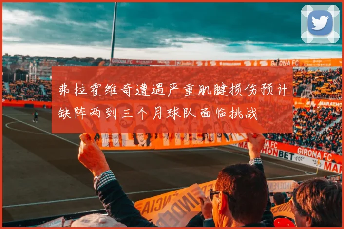 弗拉霍维奇遭遇严重肌腱损伤预计缺阵两到三个月球队面临挑战