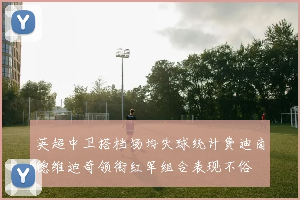 英超中卫搭档场均失球统计费迪南德维迪奇领衔红军组合表现不俗