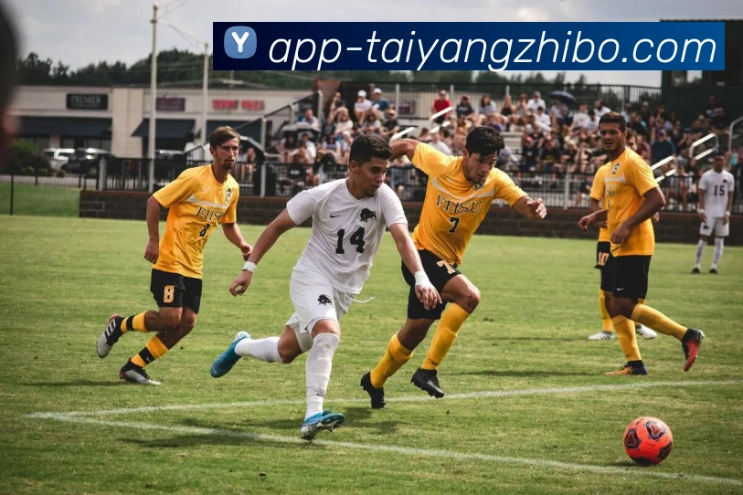 太阳城发展历程