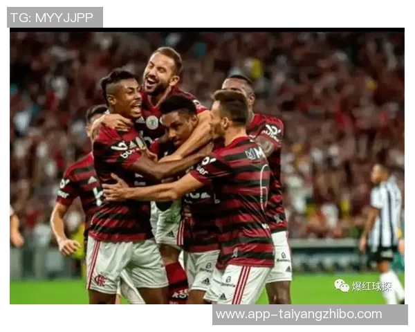 巴西足球盛事帕尔梅拉斯与弗拉门戈争夺南美解放者杯冠军